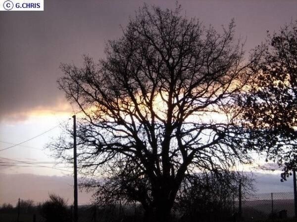 Fotografie getiteld "Coucher de soleil" door Christiane Guilleminot, Origineel Kunstwerk, Niet gemanipuleerde fotografie