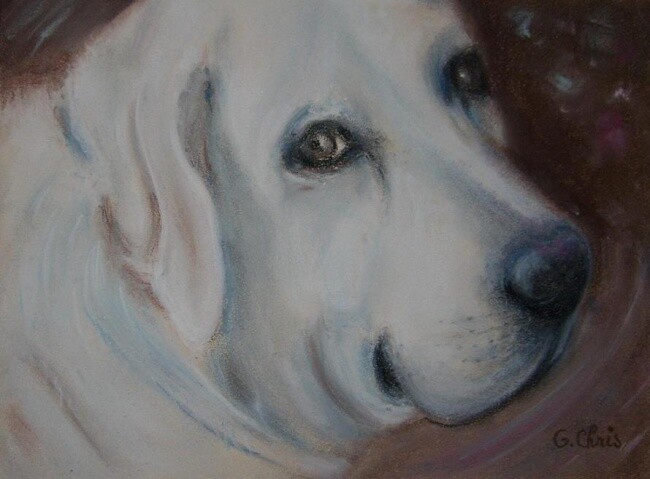 Drawing titled "Portrait de Saxo" by Christiane Guilleminot, Original Artwork, Pastel