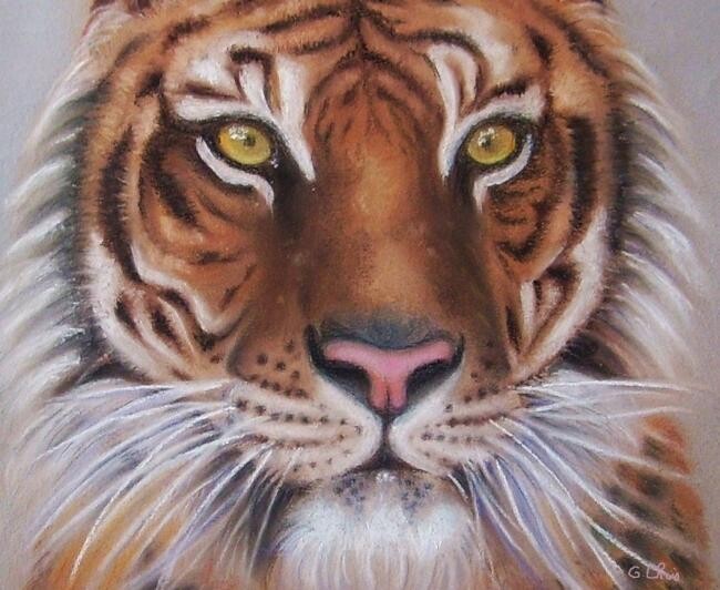 Schilderij getiteld "Tigre des neiges" door Christiane Guilleminot, Origineel Kunstwerk, Pastel