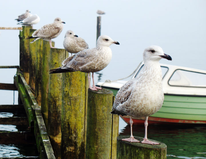 Photography titled "fisherman`s friends" by Ch.Art, Original Artwork