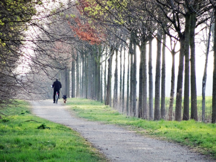 Fotografia intitulada "springtime" por Ch.Art, Obras de arte originais