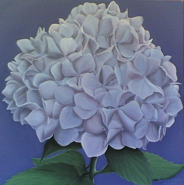 Painting titled "hortensia" by Christian Salaun, Original Artwork