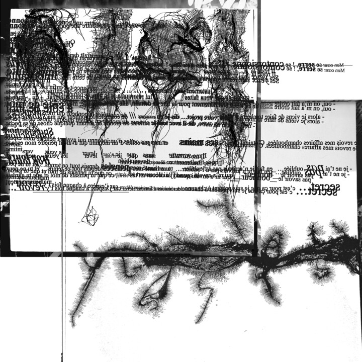 Arts numériques intitulée "Texte 4-30" par Christine Barone, Œuvre d'art originale, Photo montage