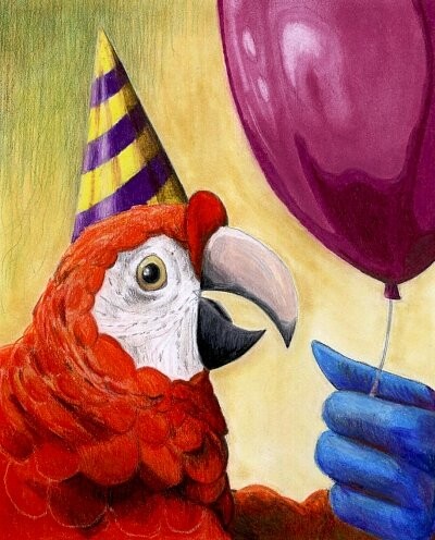 Drawing titled "Party Parrot" by Christine Bennett (Calzephyr), Original Artwork