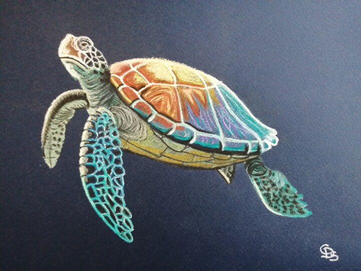 Drawing titled "Tortue" by Christine Dos Santos, Original Artwork, Pastel