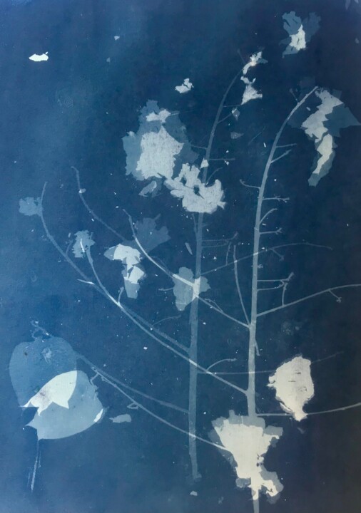 Painting titled "Cyanotype_1_23" by Christine Membrez, Original Artwork, Acrylic