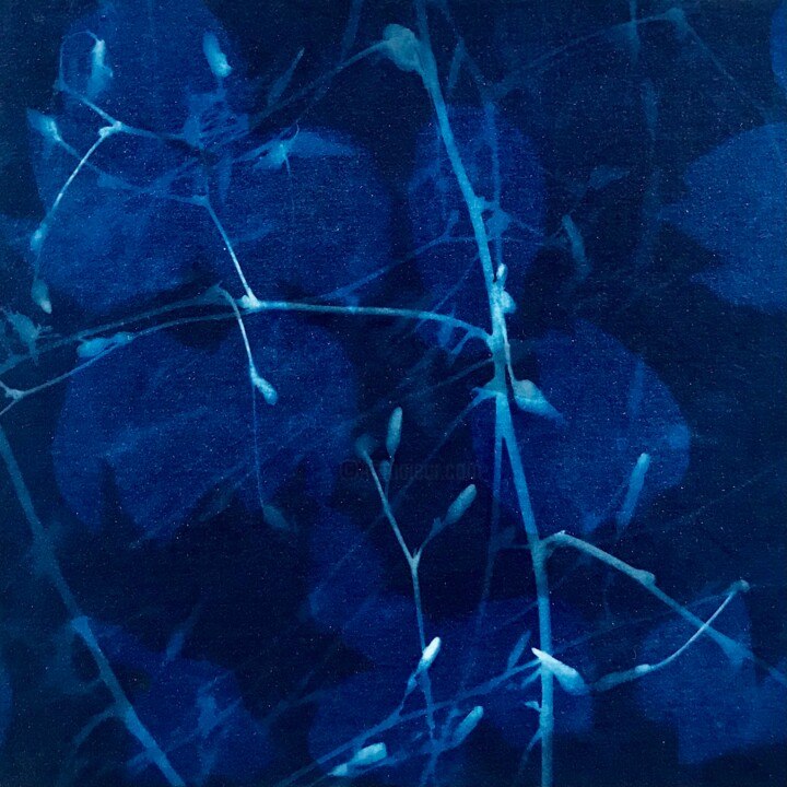 Schilderij getiteld "Cyanotype_6_23" door Christine Membrez, Origineel Kunstwerk, Acryl