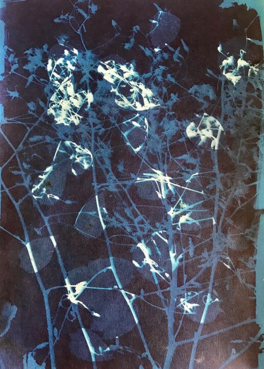 Schilderij getiteld "Cyanotype_11_23" door Christine Membrez, Origineel Kunstwerk, Acryl