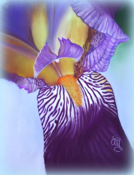 Peinture intitulée "coeur d'iris #Artis…" par Christine Mergnat, Œuvre d'art originale, Pastel