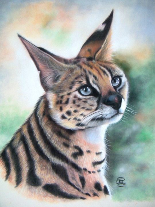 Pintura intitulada "Serval #ArtistSuppo…" por Christine Mergnat, Obras de arte originais, Pastel