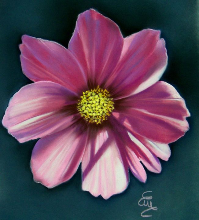 Peinture intitulée ""cosmos"" par Christine Mergnat, Œuvre d'art originale, Pastel