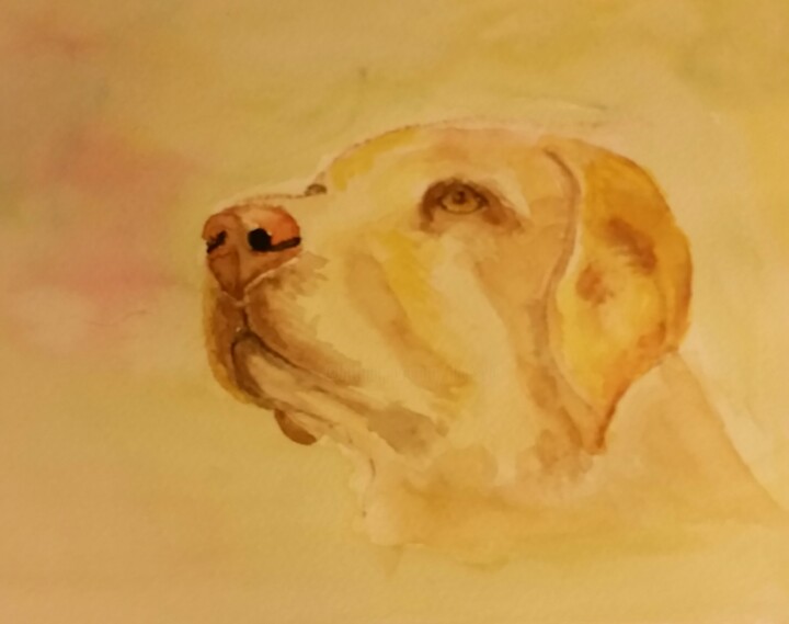 Painting titled "Labrador" by Christine Nemoz, Original Artwork, Watercolor
