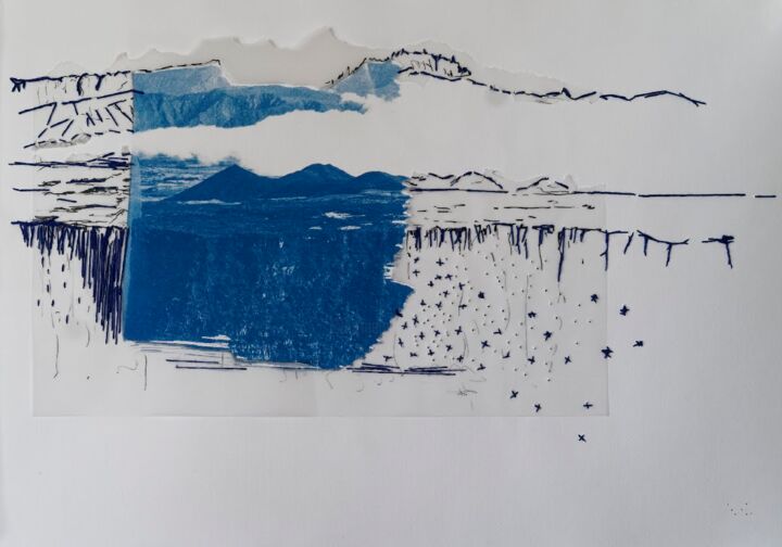 Gravures & estampes intitulée "cyanotype 1" par Christine Vannier, Œuvre d'art originale, Encre
