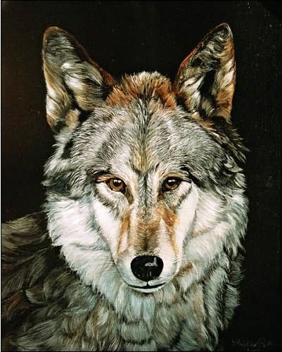 Painting titled "Le loup" by Christine Pultz, Original Artwork