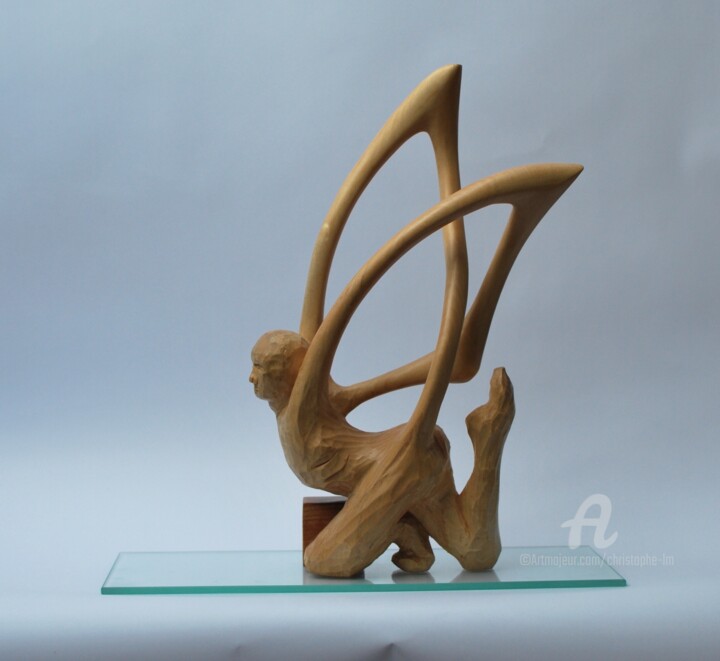 Sculpture intitulée "l'homme qui vole" par Christophe Lm, Œuvre d'art originale, Bois