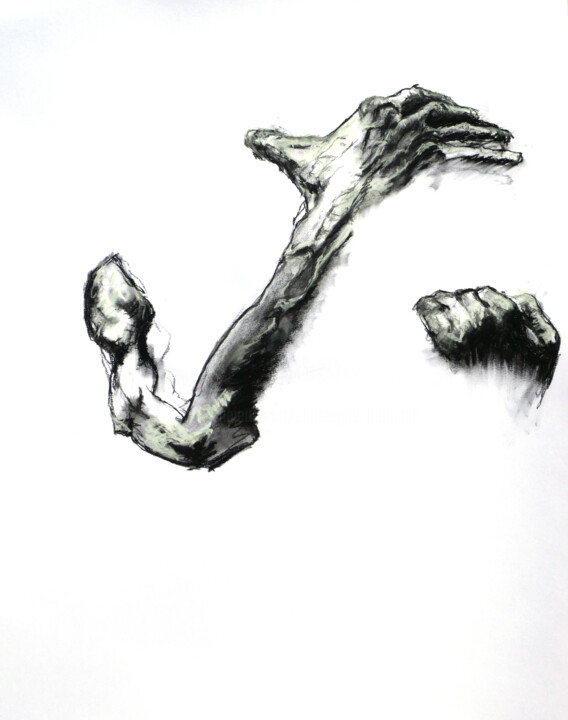 Dibujo titulada "L'absente" por Christophe Thomas, Obra de arte original, Carbón