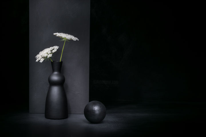 摄影 标题为“Umbelliferous” 由Christophe Verot, 原创艺术品, 数码摄影 安装在铝上