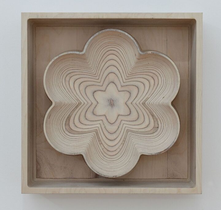 Escultura intitulada "Fractal wood" por Christophe Bregnard, Obras de arte originais, Madeira Montado em Plexiglass
