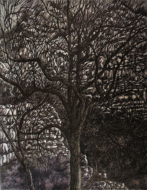 "Un chêne en hiver" başlıklı Resim Christophe Gol tarafından, Orijinal sanat, Mürekkep