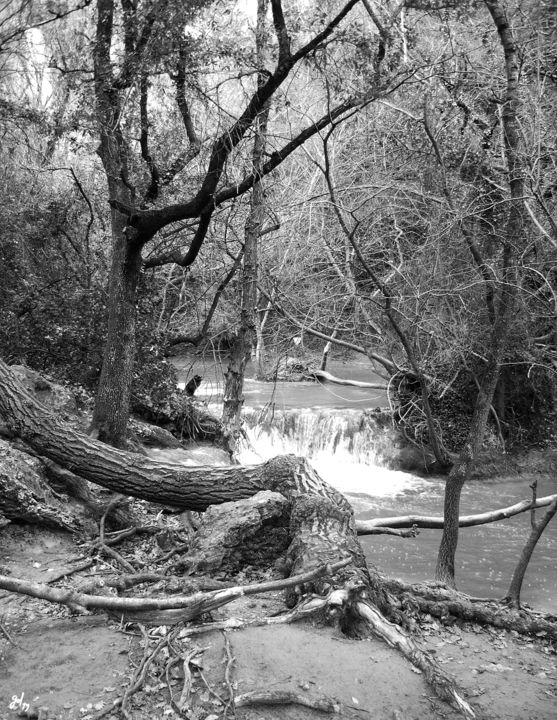 Φωτογραφία με τίτλο "Une rivière" από Christophe Gol, Αυθεντικά έργα τέχνης, Άλλος