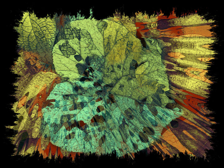 Цифровое искусство под названием "the-forest.jpg" - Christopher Kitchener, Подлинное произведение искусства, 2D Цифровая Раб…