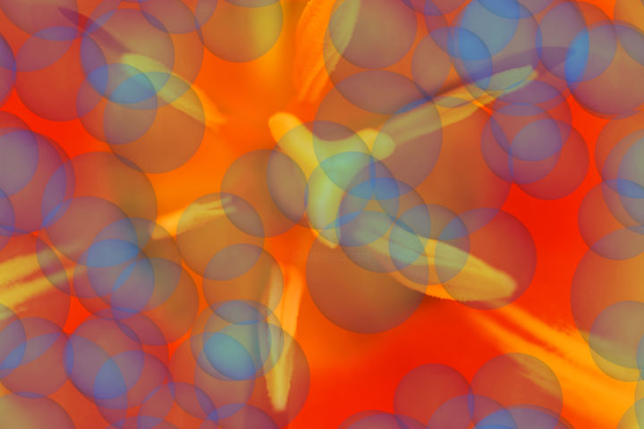 Картина под названием "helium-scent.jpg" - Christopher Kitchener, Подлинное произведение искусства
