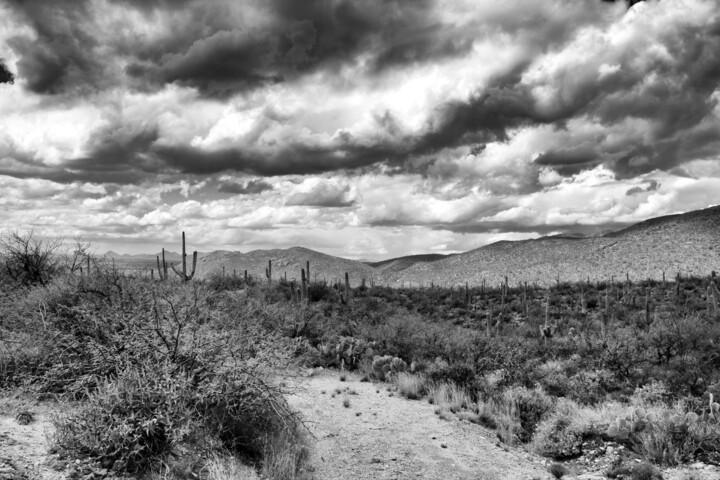 Photography titled "The Arizona desert…" by Christopher L Smith, Original Artwork, Digital Photography