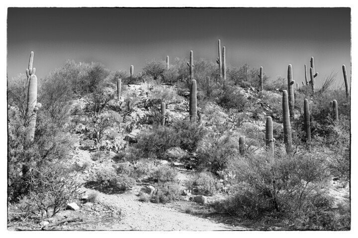 Photographie intitulée "Sabino Canyon Arizo…" par Christopher L Smith, Œuvre d'art originale, Photographie numérique