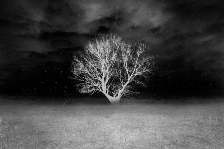 Photography titled "Soltitude" by Christopher Hanz, Original Art, Digital Photography