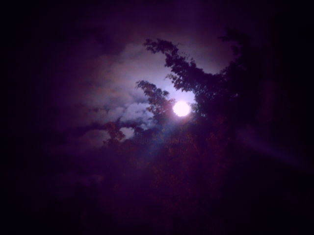 Fotografia intitulada "LUA" por Mary Priest, Obras de arte originais,