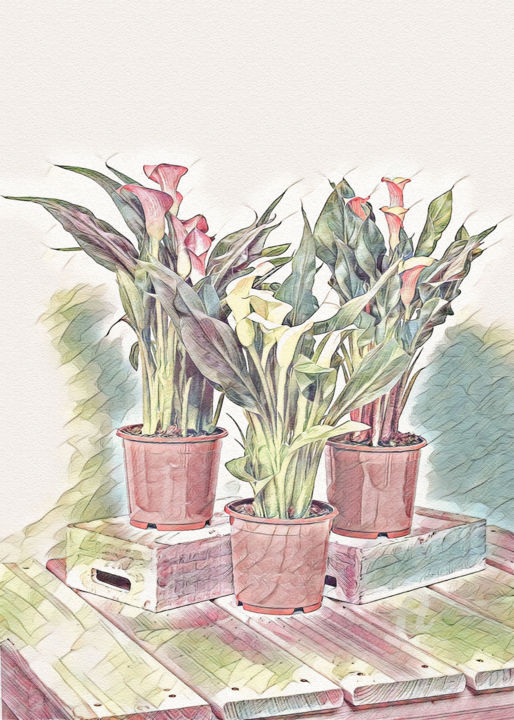 Arts numériques intitulée "Potes de flores (aq…" par Ciezar, Œuvre d'art originale, Peinture numérique
