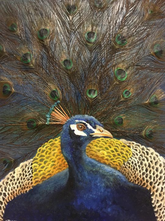 Painting titled "The Peacock Bird" by Cindy Pance, Original Artwork