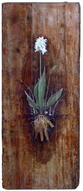 Schilderij getiteld "Orchis Purpurea" door Cinzia Marotta, Origineel Kunstwerk, Olie
