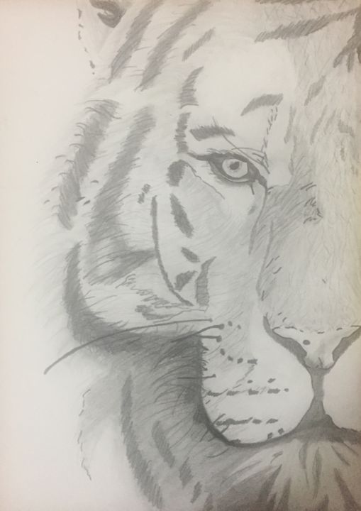 Disegno intitolato "Tiger" da Ciro Petrone, Opera d'arte originale, Matita