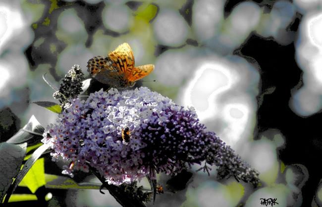 Fotografía titulada "papy" por Patryk, Obra de arte original