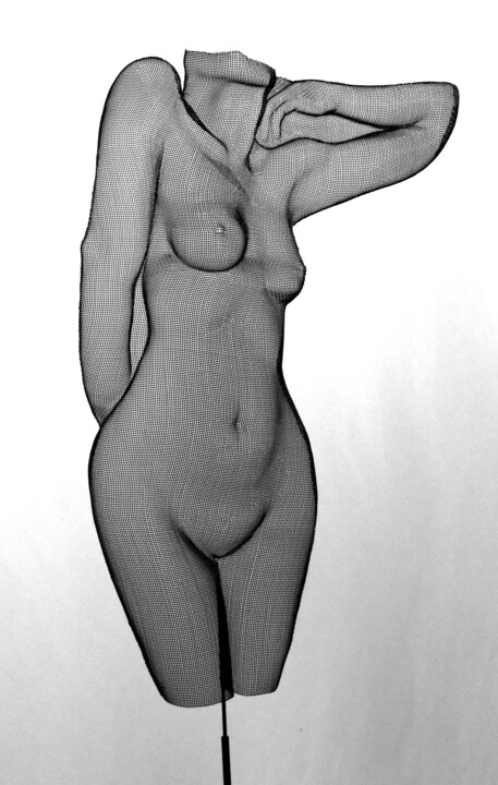 Sculpture titled "Alena 20077" by Ck Cooper, Original Artwork, Wire
