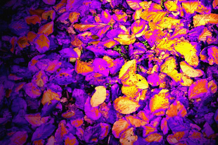 Arte digitale intitolato "Autumn Gold Leaf" da Chris Kitchener, Opera d'arte originale, Pittura digitale