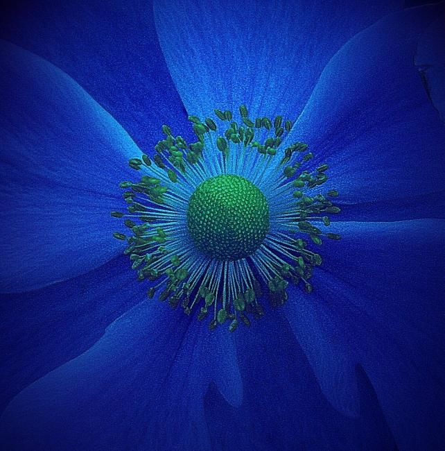 Digital Arts titled "All In Blue" by Chris Kitchener, Original Artwork, Digital Painting