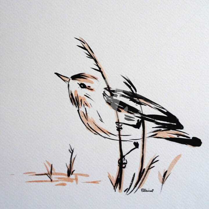Drawing titled "oiseau encre 01" by Claire Arnoult, Original Artwork, Ink