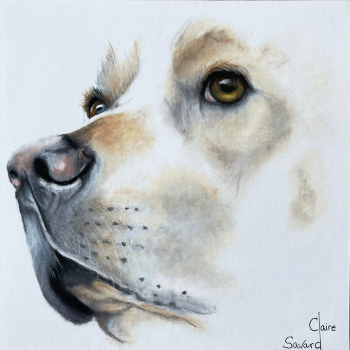 Drawing titled "Pitou" by Claire Savard, Original Artwork, Pastel Mounted on Wood Panel