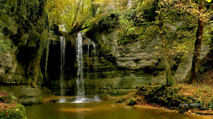 Фотография под названием "Cascades de la mare…" - Claire Tresse, Подлинное произведение искусства