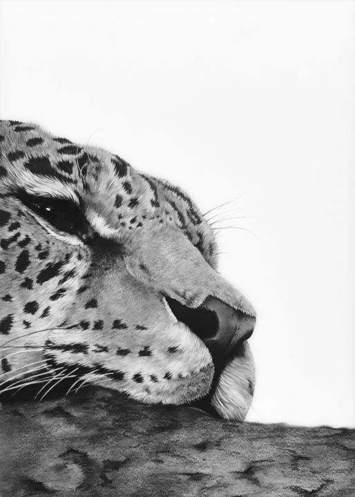 Drawing titled "Contemplation" by Claire Vogel, Original Artwork, Graphite