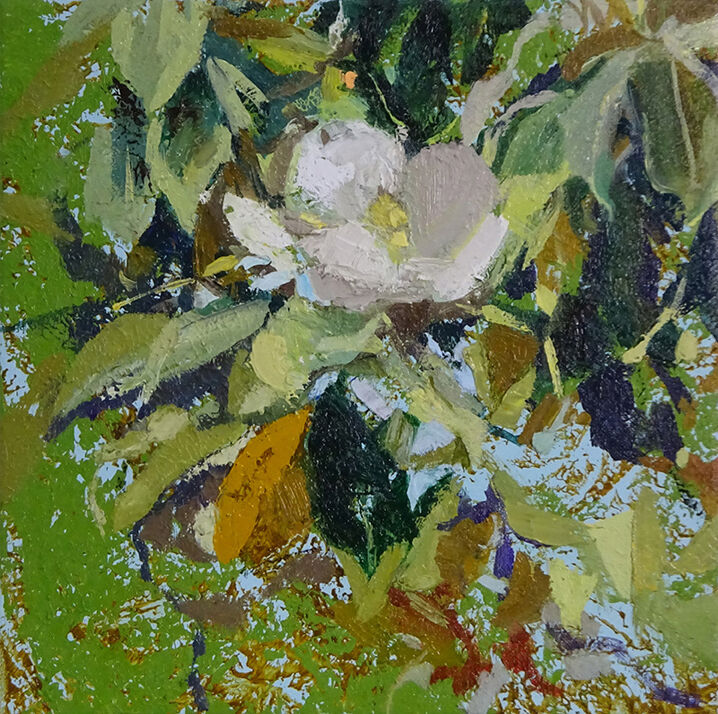 Pintura titulada "Efecto Magnolia" por Clara Martí Aguasca, Obra de arte original, Oleo