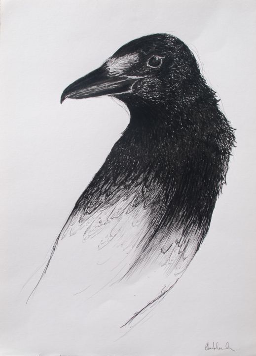 Desenho intitulada "Crow? Raven?" por Clara Almada, Obras de arte originais, Tinta