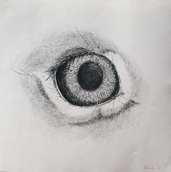 Dessin intitulée "Look me in the eye" par Clara Almada, Œuvre d'art originale, Encre