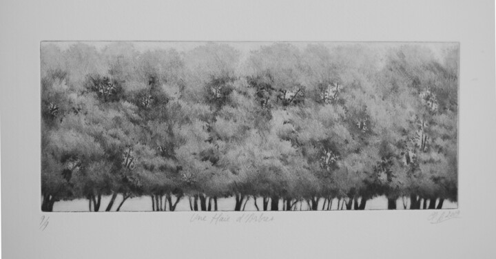 Impressões e gravuras intitulada "une haie d'arbres" por Claude Amaouche, Obras de arte originais, Gravação