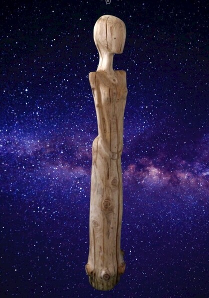 Sculptuur getiteld "Lune" door Claude David, Origineel Kunstwerk, Hout