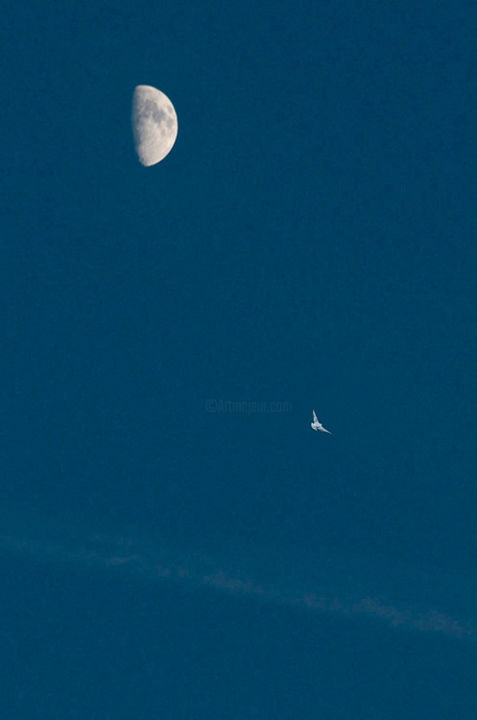 Fotografia intitulada "Azur" por Claude Ferrara, Obras de arte originais