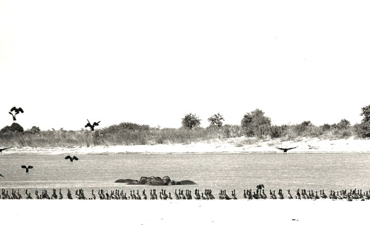 Photographie intitulée "le Chari vers N'Dja…" par Claude Guillemet, Œuvre d'art originale, Photographie non manipulée