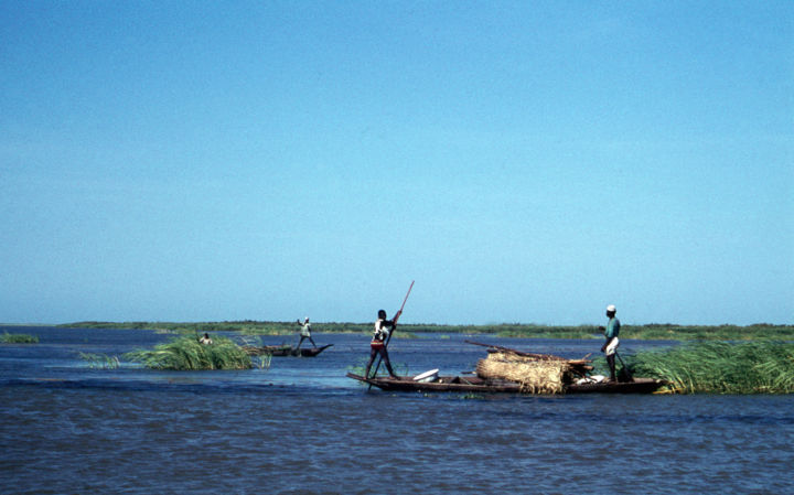 Fotografia intitolato "sur le lac Tchad.jpg" da Claude Guillemet, Opera d'arte originale, Fotografia non manipolata